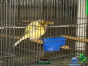 DSC00647.jpg