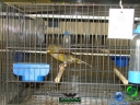 DSC00648.jpg