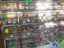 DSC00649.jpg
