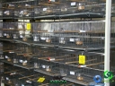 DSC00653.jpg