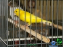 DSC00654.jpg