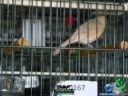 DSC00677.jpg