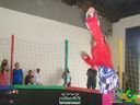 DSC02582.jpg