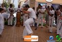 DSC00126.jpg