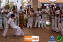 DSC00136.jpg