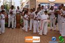 DSC00137.jpg