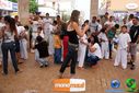 DSC00203.jpg