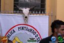 DSC06159.jpg