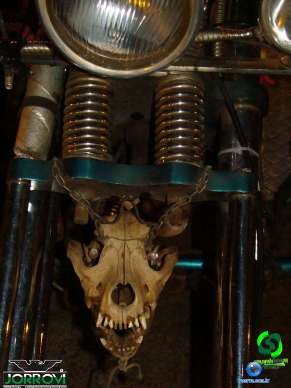 DSC02772.jpg