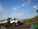 DSC08434.jpg