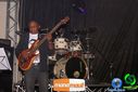 DSC00435.jpg