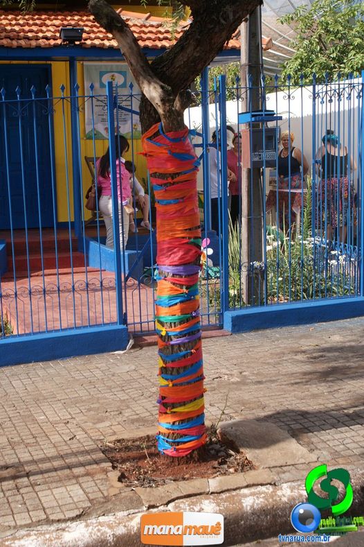 DSC01429.jpg