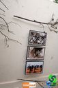 DSC01505.jpg