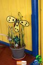 DSC01538.jpg