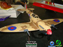DSC03023.jpg