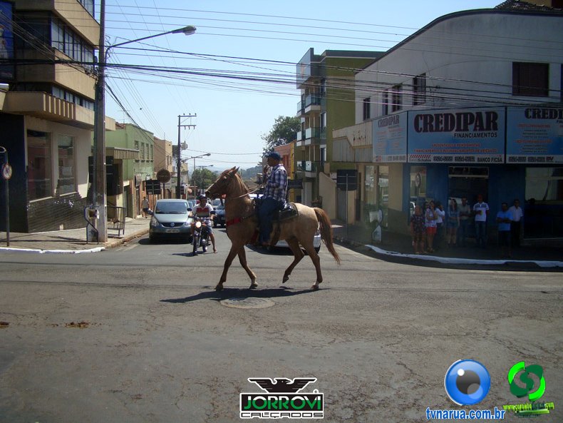DSC00766.jpg