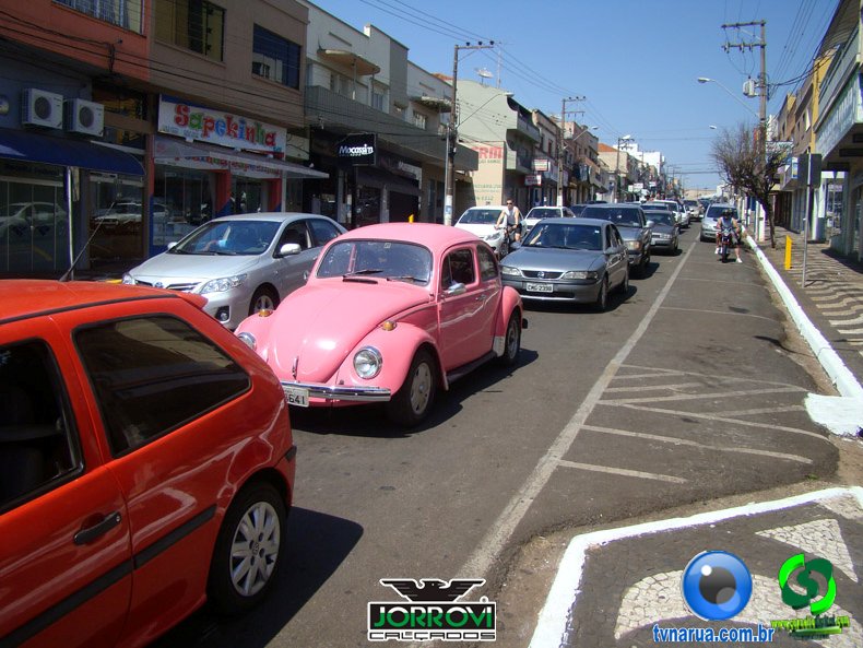 DSC00797.jpg