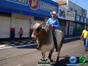 DSC00475.jpg
