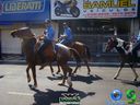 DSC00482.jpg