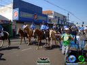 DSC00488.jpg