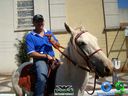 DSC00514.jpg