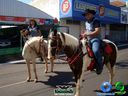 DSC00532.jpg