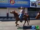 DSC00543.jpg