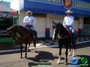 DSC00613.jpg