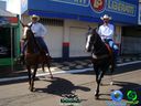 DSC00614.jpg