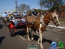 DSC00623.jpg