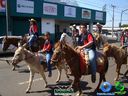 DSC00652.jpg