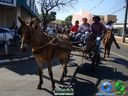 DSC00670.jpg