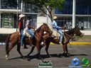 DSC00725.jpg