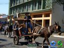 DSC00733.jpg