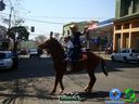 DSC00739.jpg