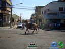 DSC00766.jpg