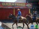 DSC00785.jpg