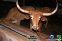 DSC07766.jpg