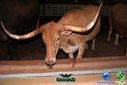 DSC07767.jpg