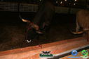 DSC07769.jpg