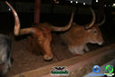 DSC07771.jpg