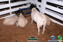 DSC07775.jpg