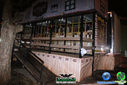 DSC07871.jpg