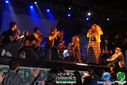 DSC07954.jpg
