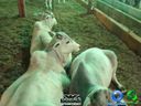 DSC01148.jpg