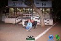 DSC02065.jpg