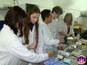 04-06-13_DSC09614.jpg