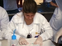 DSC05211.JPG