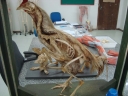 Filename=DSC02014.JPG
Filesize=129KiB
Dimensions=640x480
Date added=May 07, 2013 DSC02014.JPG