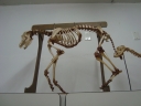 Filename=DSC02017.JPG
Filesize=142KiB
Dimensions=640x480
Date added=May 07, 2013 DSC02017.JPG